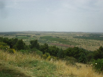 Castel del Monte